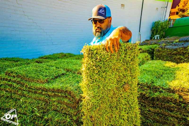 {SERVICE_NAME} project in Wylie