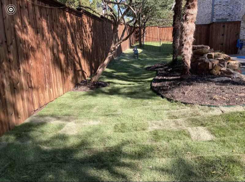 Lawn Replacement near Richardson