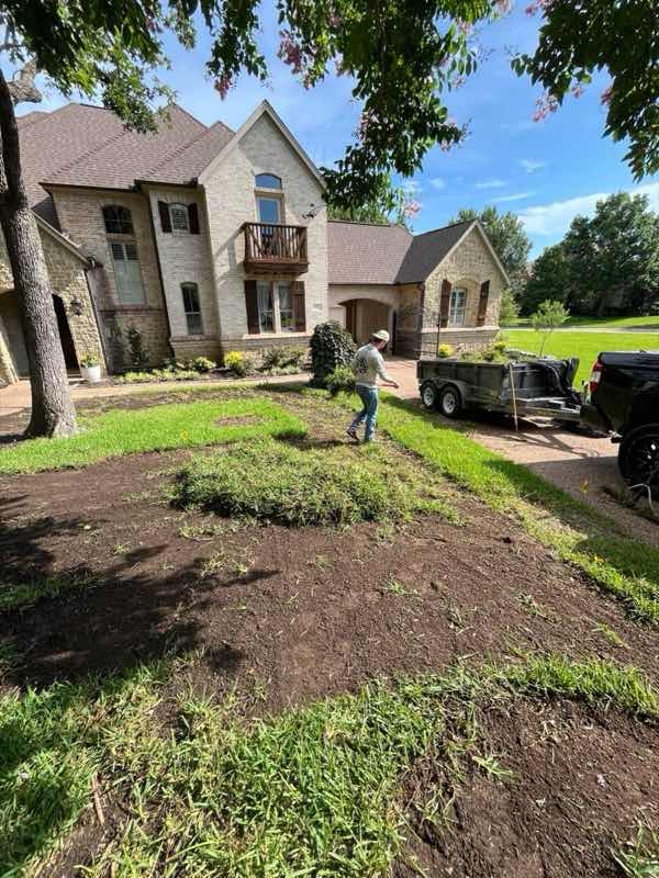 Lawn Replacement in Wylie