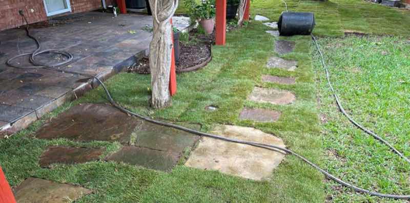 Zoysia Lawn in Wylie